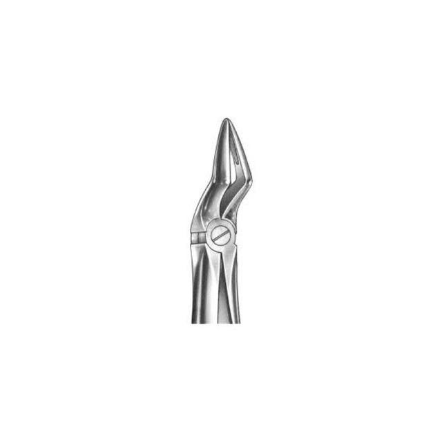 Forceps For Upper Roots TS-1-037