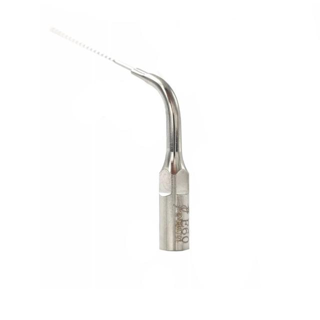 Woodpecker Endodontic Tip E60