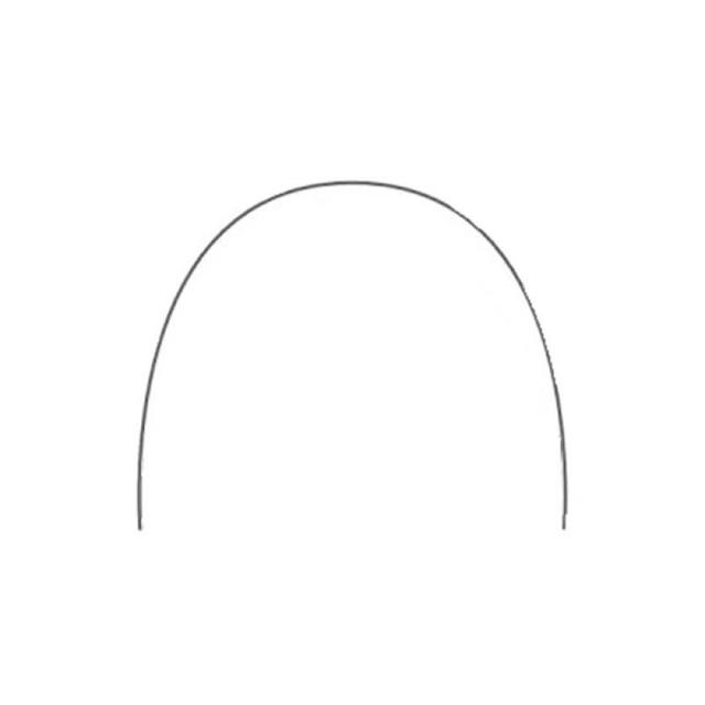 10 x Stainless Steel Archwires Round Lower 0.016 + 1 Free