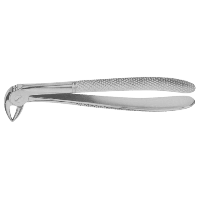 Extracting Forceps No. 33