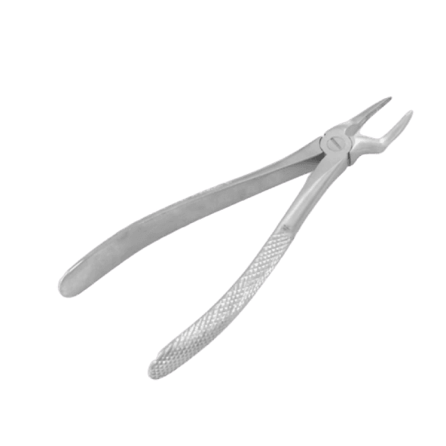 Extracting Forceps No. 29