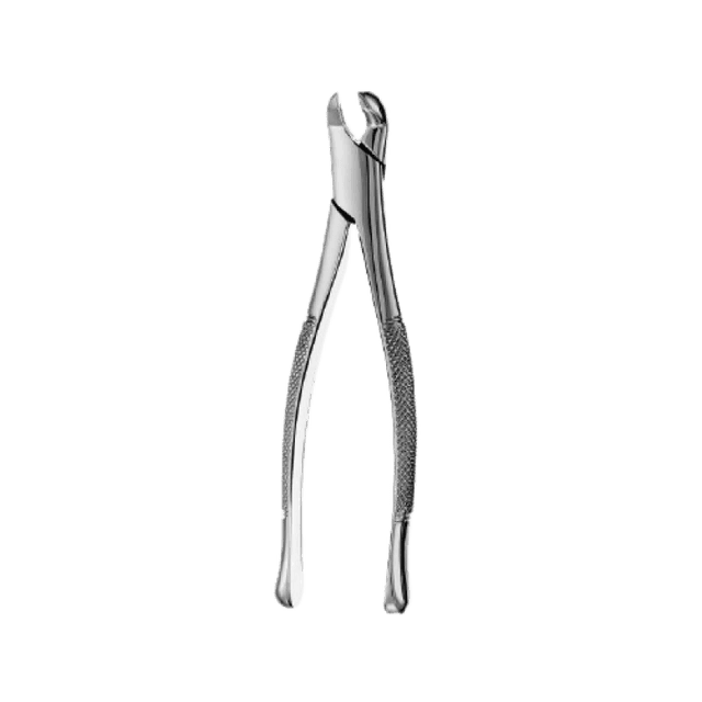 Extracting Forceps No.17