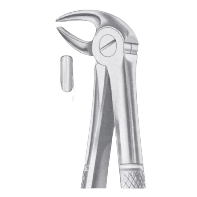 Extracting Forceps No.13