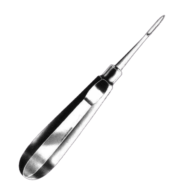 Root Elevator Bein 1B