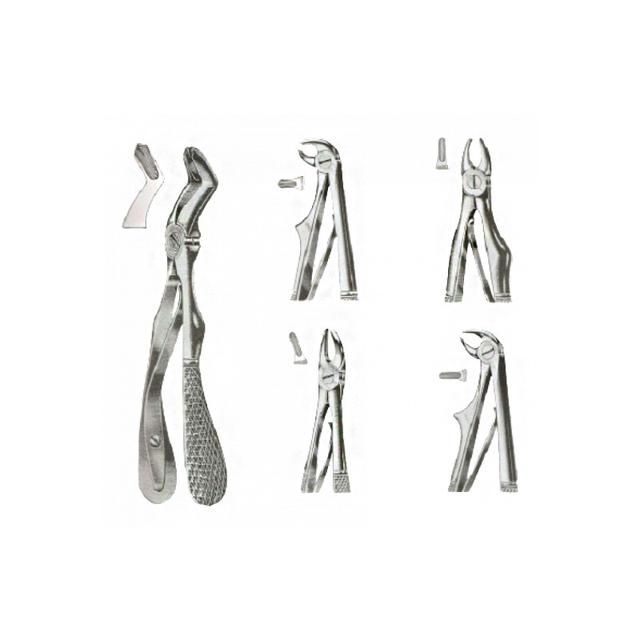 Pedo Forceps Kit of 5 Pieces