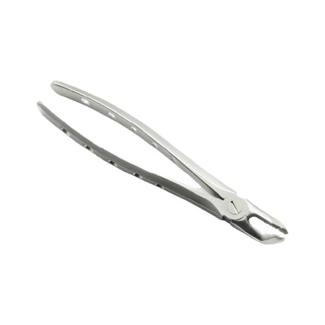Lower Wisdoms Special Forceps