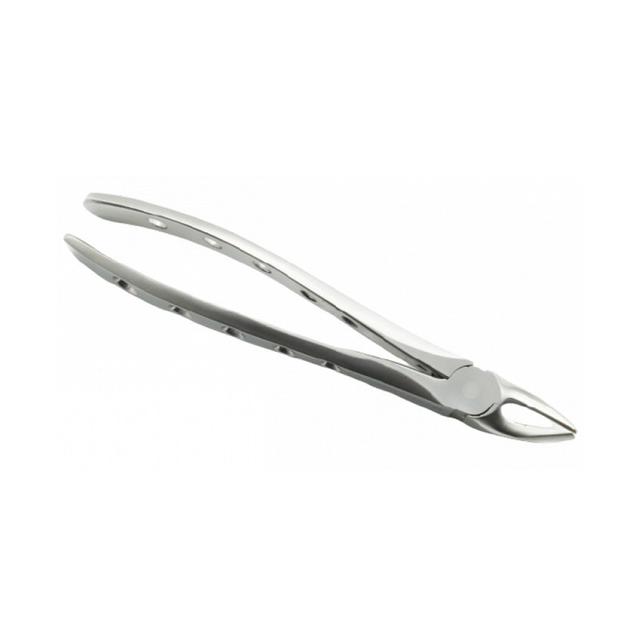 Upper Premolars Special Forceps
