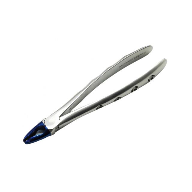 Upper Incisors And Canine Forceps Blue Plasma