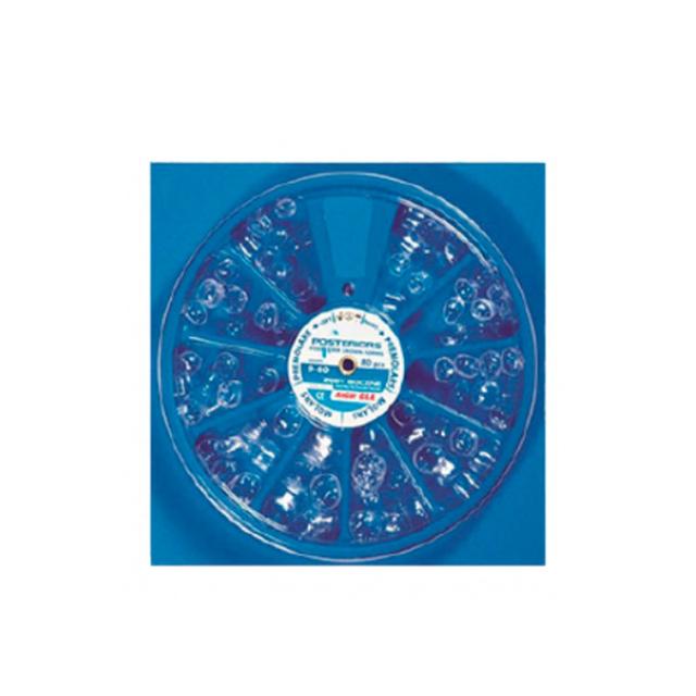 Anger Polyester Crown Premolars