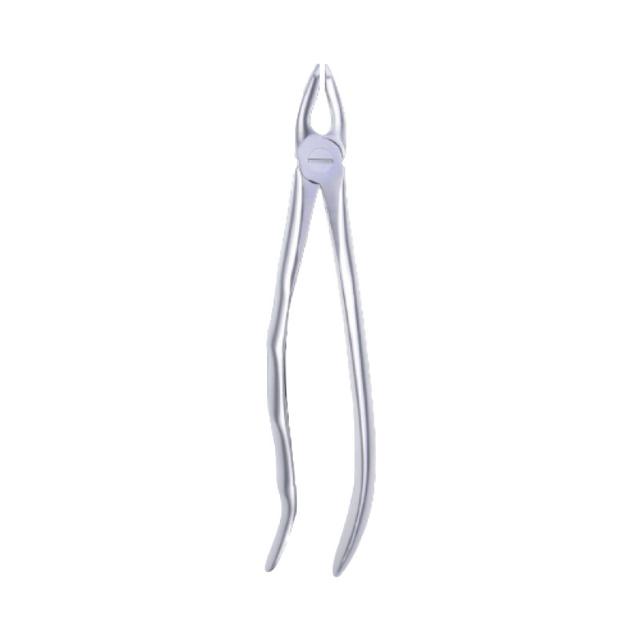 Extracting Forcep Incisors Canines Attack Deep 16.5 Cm